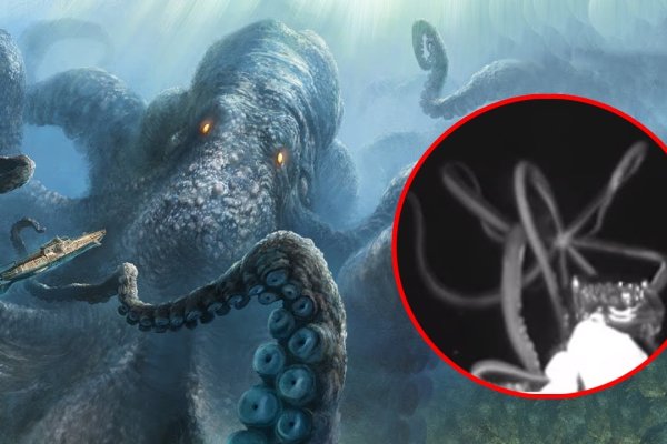 Кракен ссылка vtor